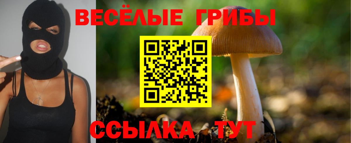 Галлюциногенные грибы Cubensis  Вход с VPN  Иваново 